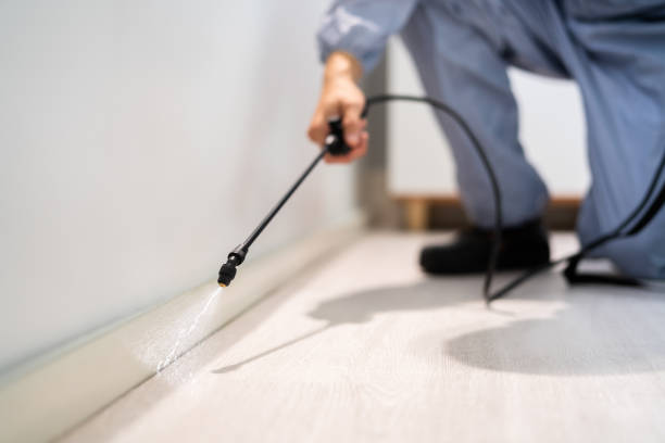 Licensed Termite Control service in Pollock Pines, CA - Show Me Pest Control